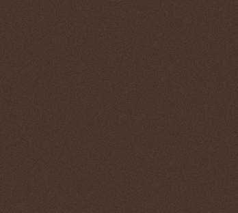BROWN 2008