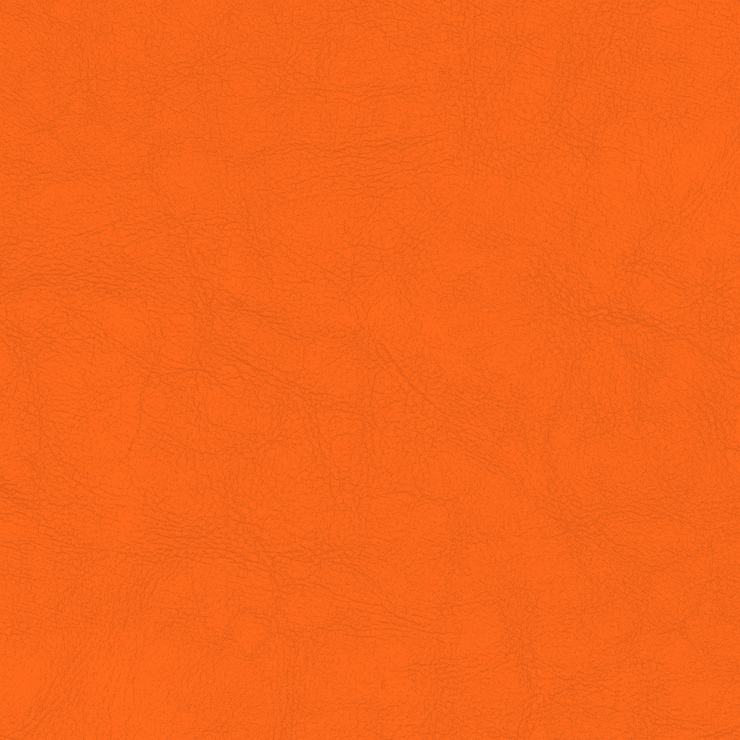 ORANGE 1113