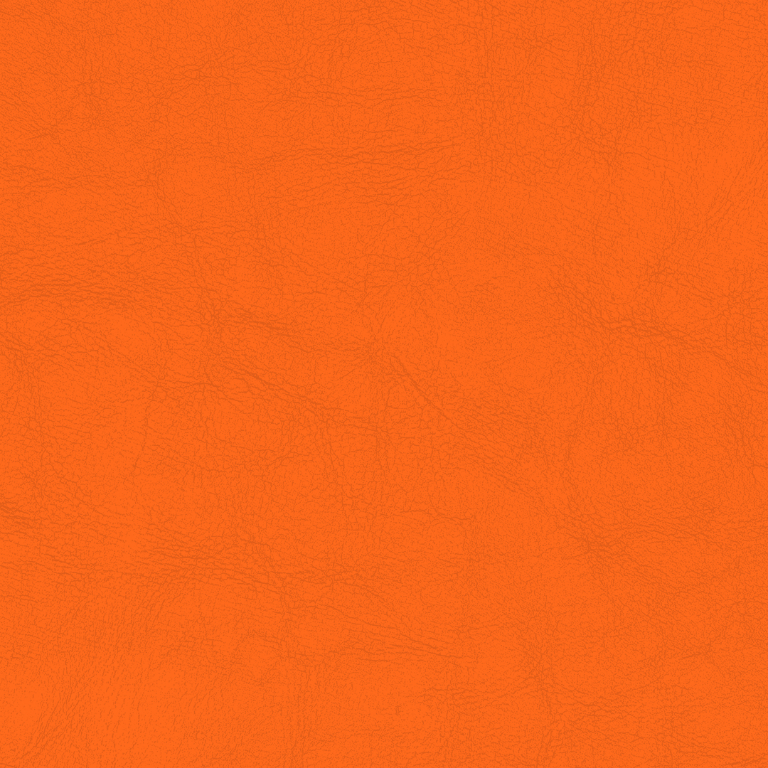 ORANGE 1113