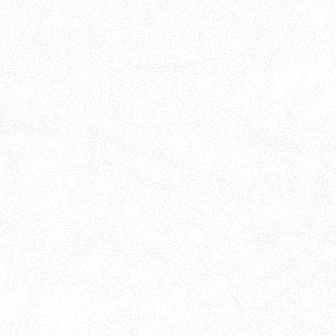 WHITE 1100