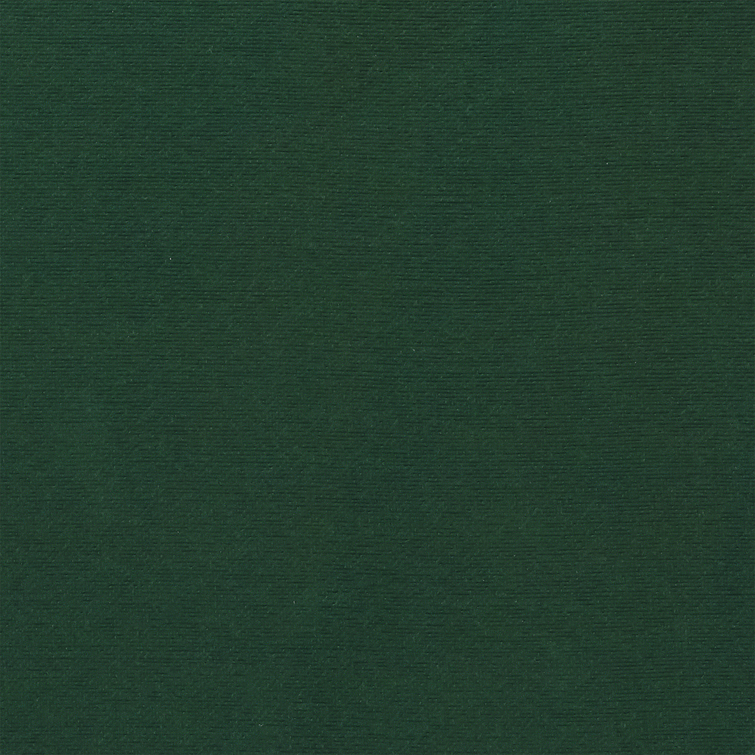 FOREST 1224