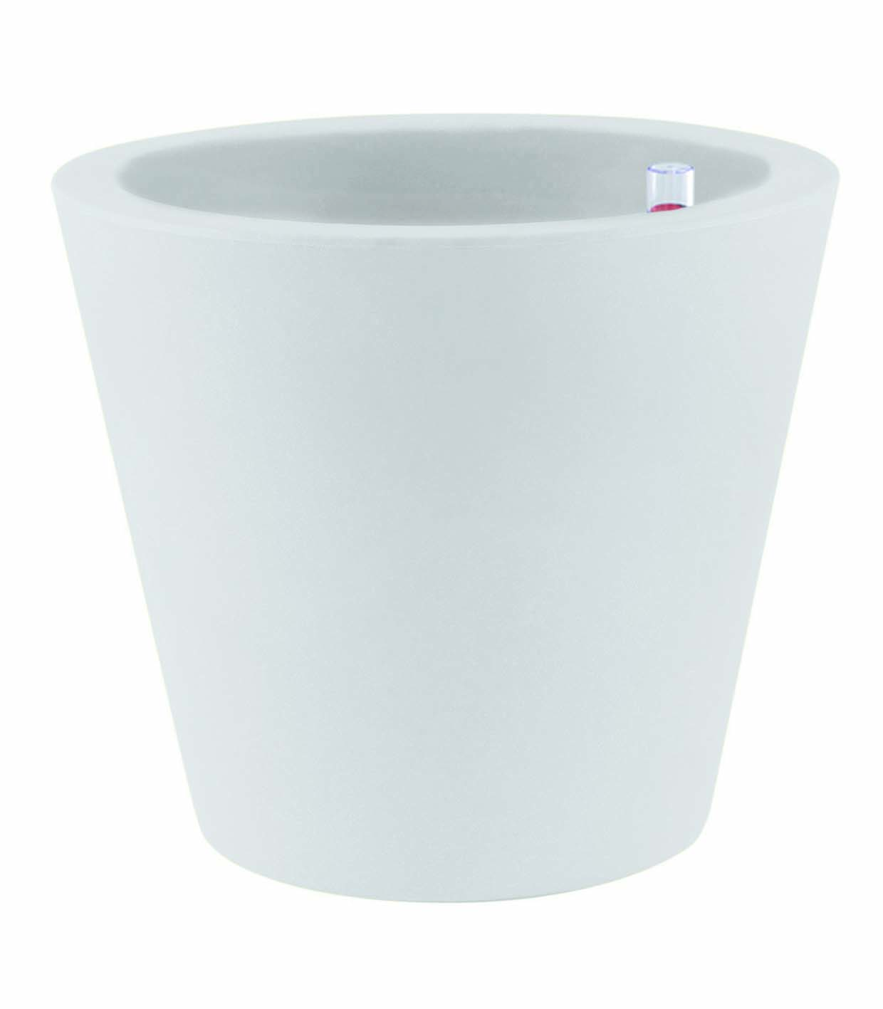 WHITE 2001