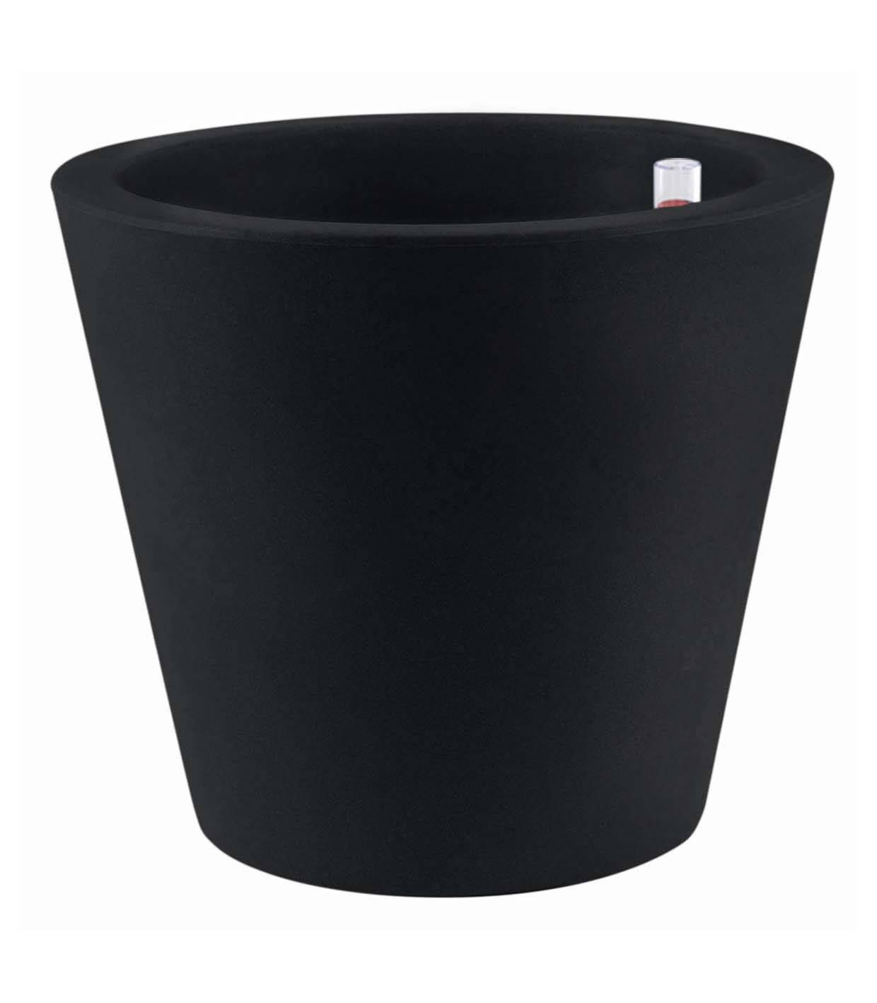 BLACK 2002
