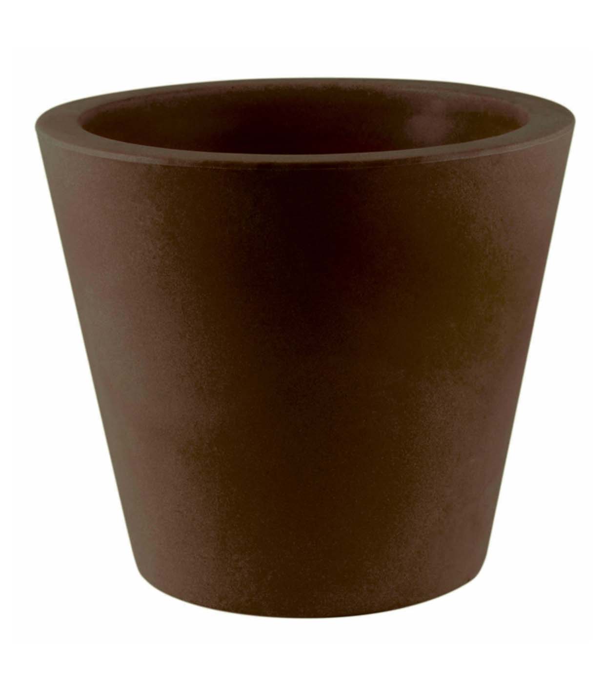 BROWN 2008