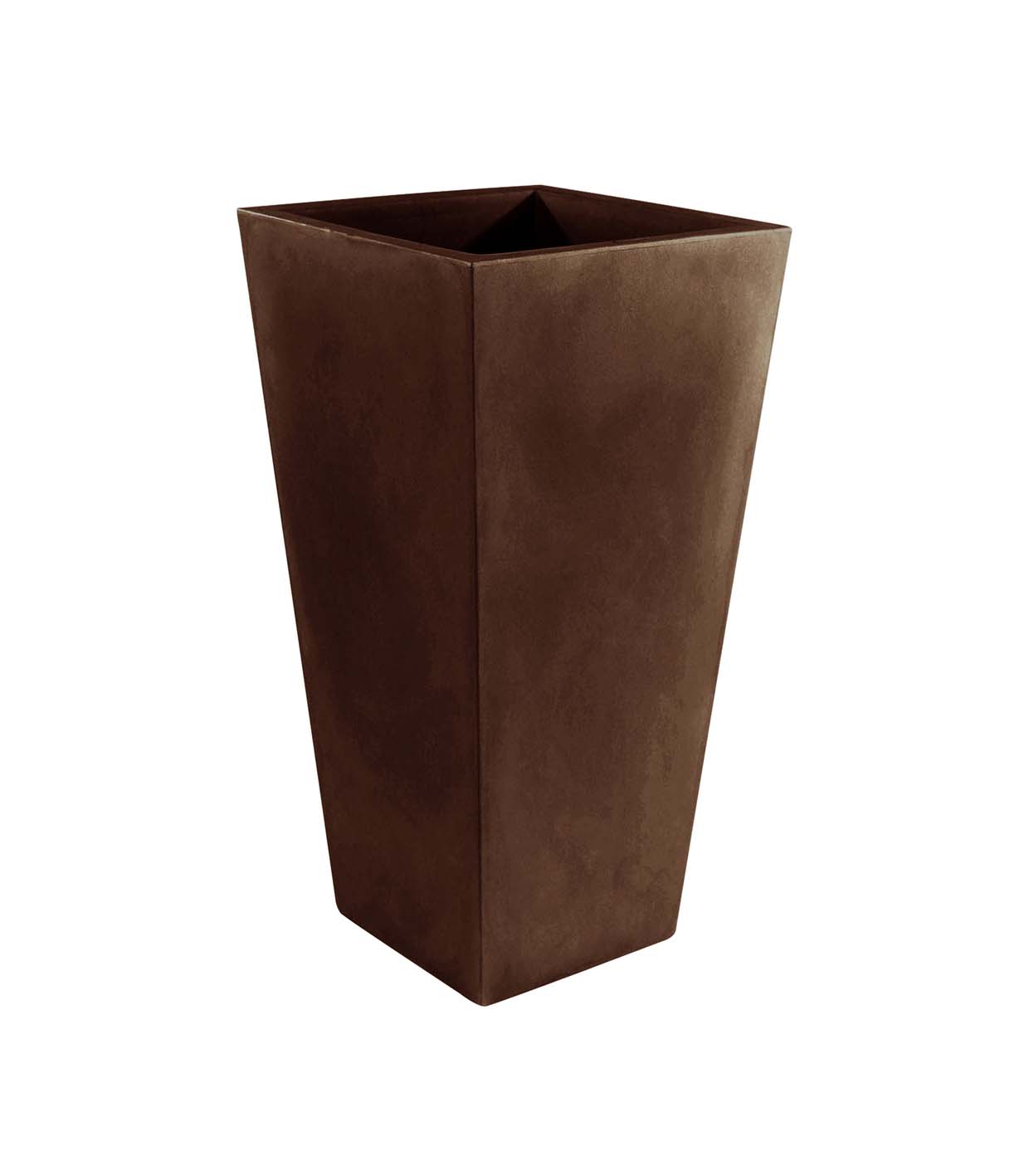 BROWN 2008