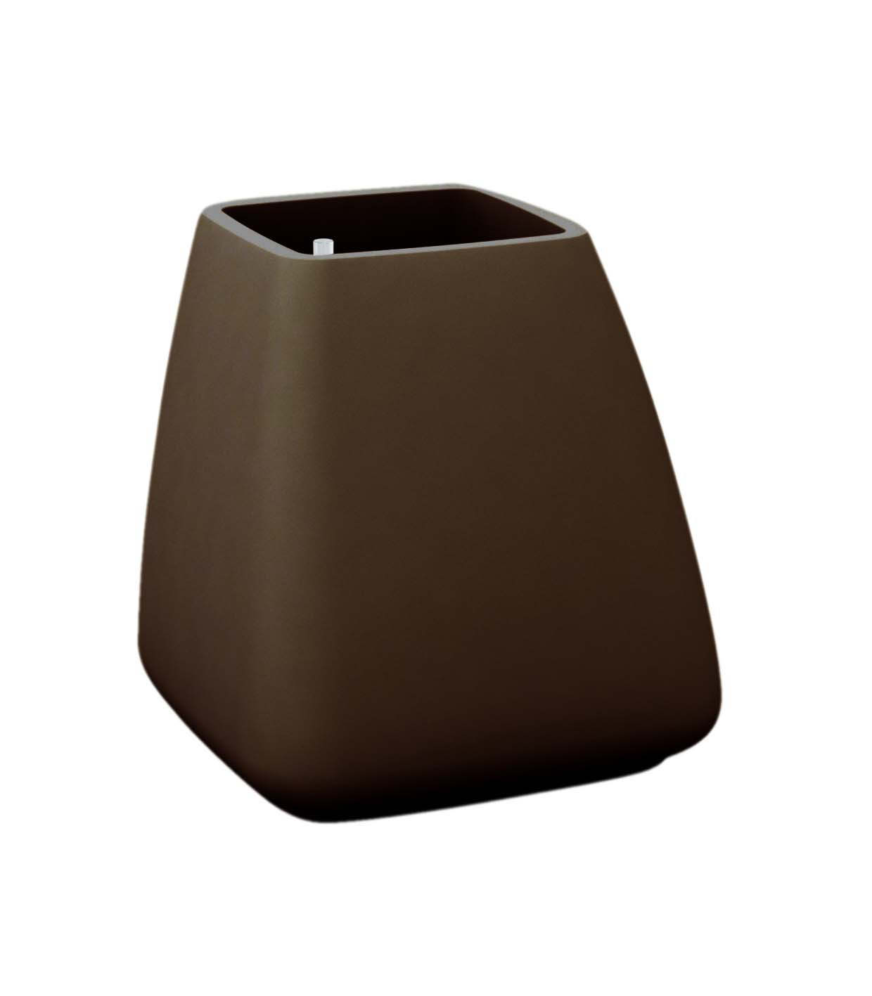 BROWN 2008