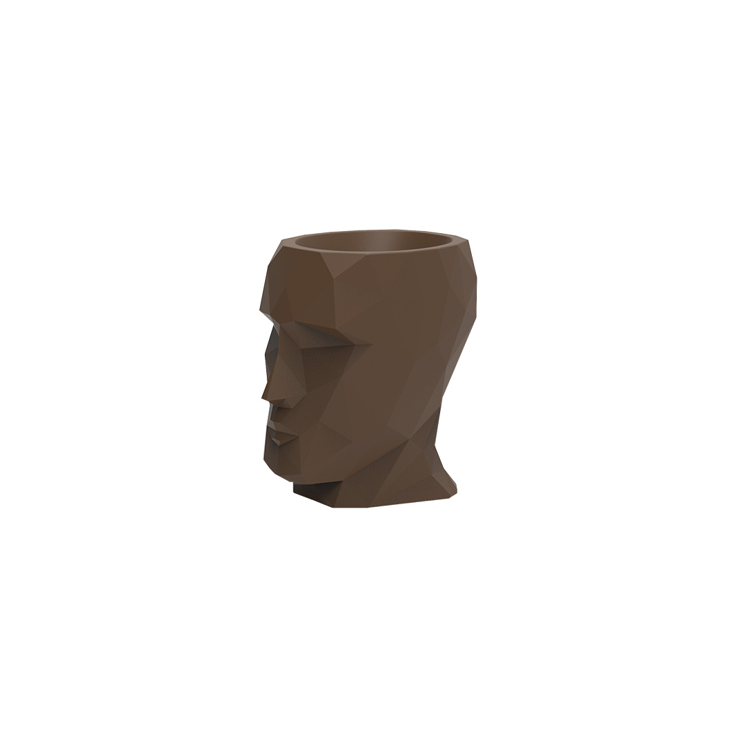 BROWN 2008