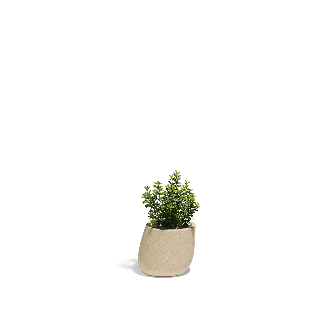 15 Vondom Stone Planter Stefano Giovannoni 55030A Granite Effect Cream 