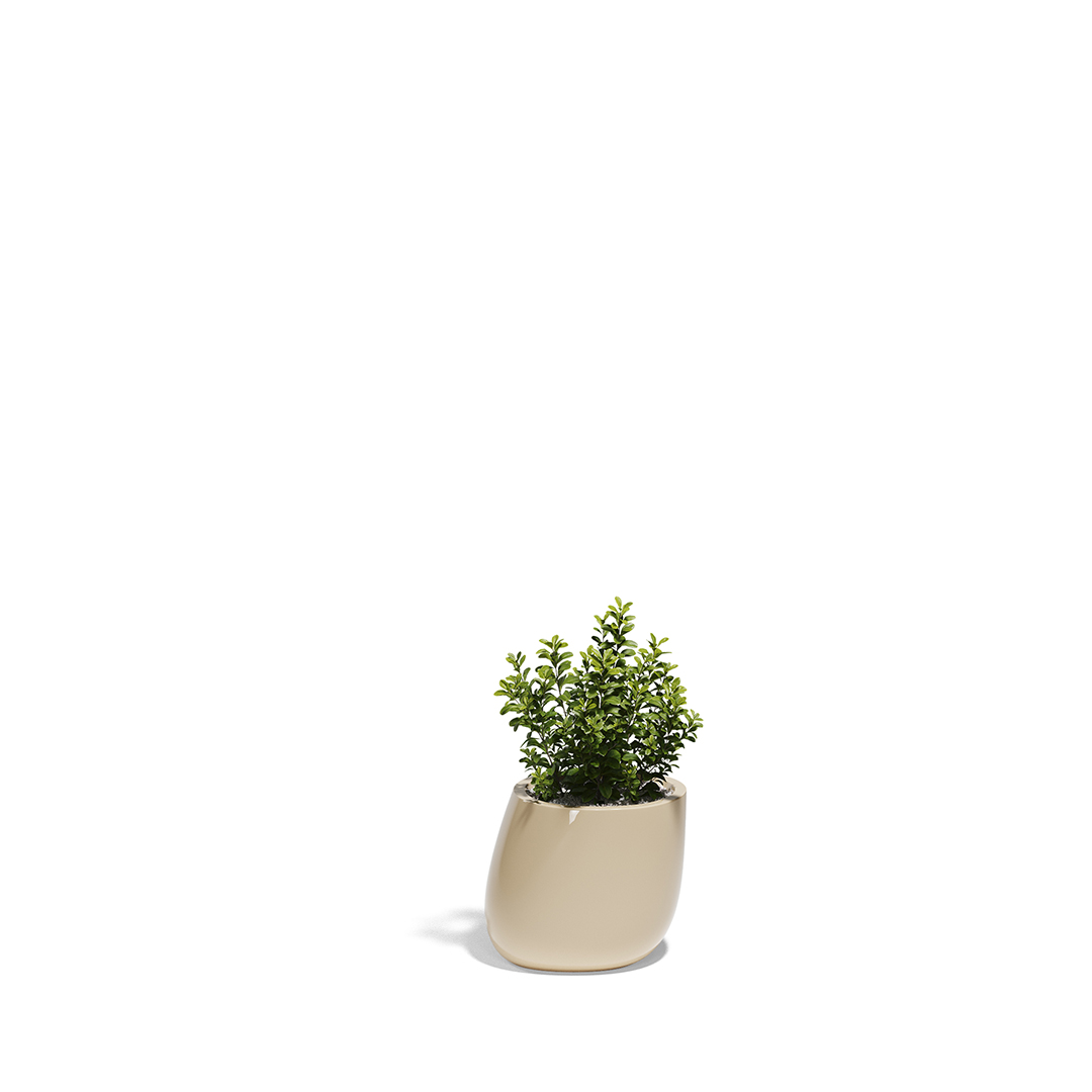 19 Vondom Stone Planter Stefano Giovannoni 55030F Cream Lacquered 