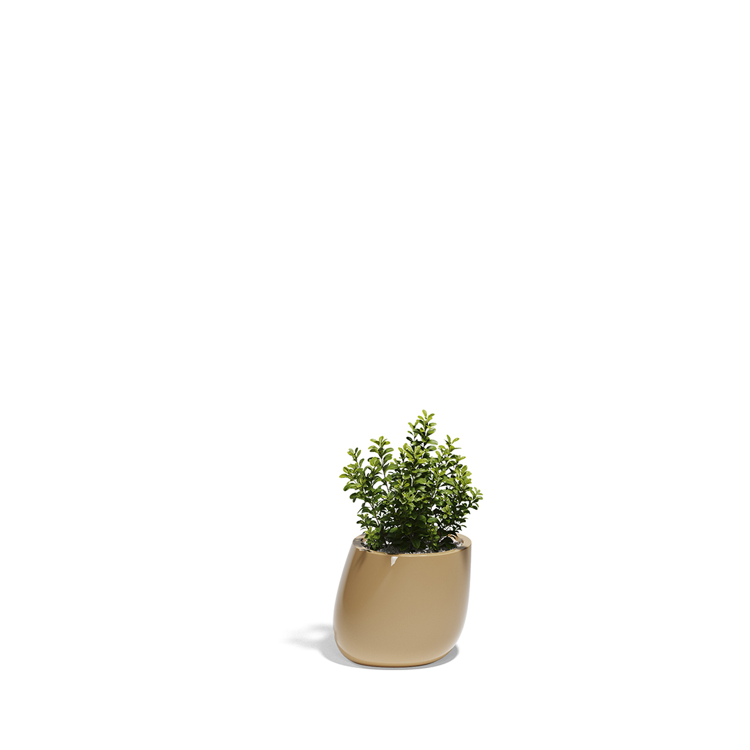 20 Vondom Stone Planter Stefano Giovannoni 55030F Camel Lacquered 