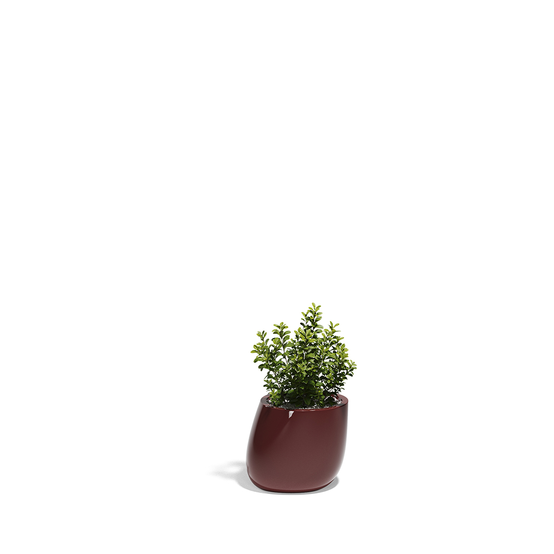 22 Vondom Stone Planter Stefano Giovannoni 55030F Garnet Lacquered 