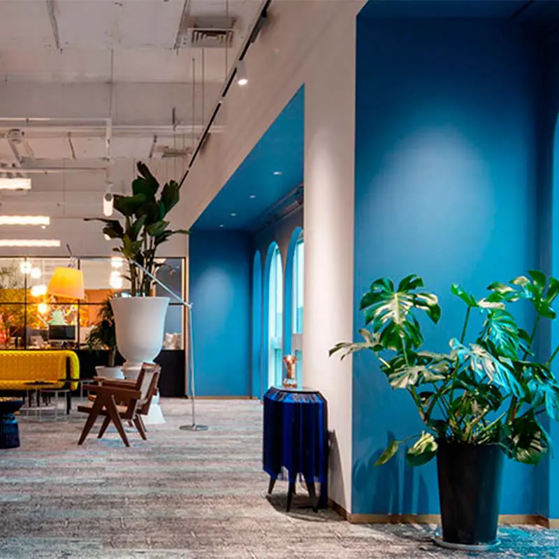 Some New Offices
